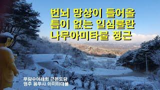 번뇌 망상이 들어올 틈이 없는 일심불란 나무아미타불 정근(240616 무량수여래회 서울법회, 2시간반 편집본)