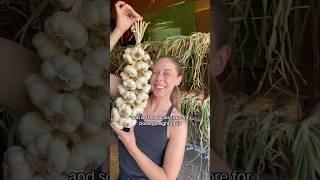 My Garlic Is Ready For Storage! #GrowYourOwnFood #backyardgardening #garlic  #HarvestRightSummer