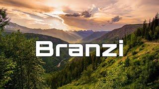 BRANZI TEASER