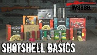 Ammo For Beginners: Shotshell Basics