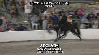 ACCLAIM   2024 TENNESSEE WALKING HORSE NATIONAL CELEBRATION