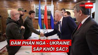 Đàm phán Nga - Ukraine sắp khởi sắc? | Báo Người Lao Động