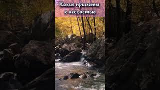 Какие приметы к несчастью? #shorts