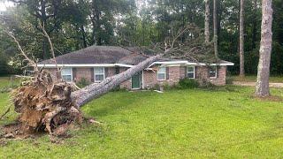 This tree might have totaled this house out