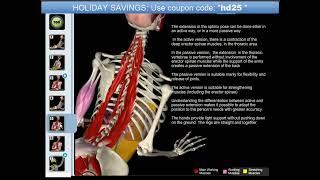 Muscle and Motion   Strength Training, Updated 18 Dec 2013