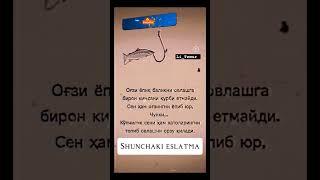 Shunchaki eslatma #starwars#islom#uzbekistan#love#uzbe #milliy#shortsvideo#shorts#rek#trend#aka#rek