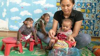 Cute moment of monkey duo Mimi Kuku and baby