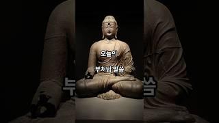 6월 18일 오늘의 부처님 말씀. #불교 #명언 #힐링 #명상