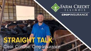 Crop Insurance Straight Talk with Farm Credit Illinois  - October 2022