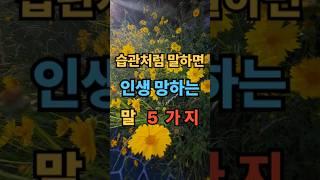 습관처럼 말하면 인생 망하는 말 5가지 #명언 #좋은글 #멋진글귀 #공감글귀