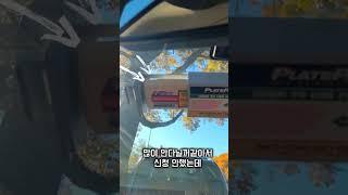 [미국새댁됴니] 미국렌트카 하이패스 사용법 #이지패스 #easypass #highpass #rentacar #