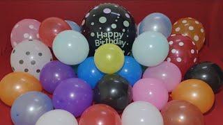 FUN HAPPY BIRTHDAY BALLOON BURSTING PART 49!!