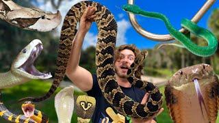 FULL SNAKE ROOM TOUR!! 2023