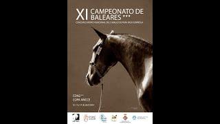 IX Campionat de Menorca, Concurso 3* Clasificatorio para SICAB Cto del Mundo