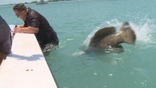 Chew On This FL Fishing - Giant Fish Tries To Eat Man - Huge Goliath Grouper Tries To Eat Fisherman