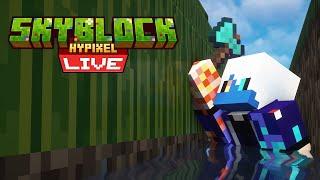 Farming Melons To 1 Billion Coins On Hypixel Skyblock