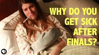 Why Do You Always Get Sick After Final Exams?