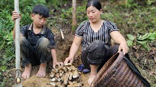 A 35-year-old single mother and her son go to the forest to dig and sell tubers to make a living