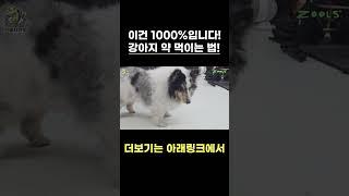 성공 확률 1000% 보장!! 저만 따라하세요!!