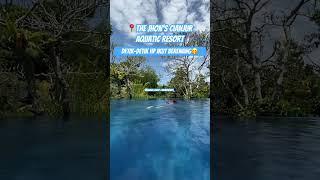 Kolam Dewasa  #visitcianjur #infocianjur #cianjur #cianjurhits #kolamrenangdewasa2m #renanganak