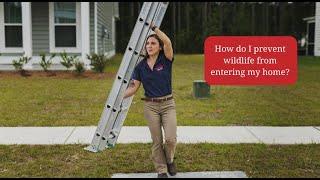 How Do I Prevent Wildlife From Entering My Home? - Trutech Wildlife Services