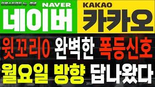 [네이버 네이버주가 카카오 카카오주가]완벽한 폭등신호이 상승을 주도한 세력들의 수상한 움직임! 앞으로 흐름은 명확하다! #네이버주가 #카카오주가