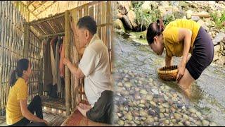 Catch mussels from the stream goes to the market sell ,Complete a bamboo wardrobe - Live with nature