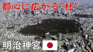 【巨大人工林】明治神宮の歴史や建物について一挙解説！