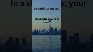 scientific wonder / #ifacts