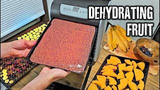 Making Fruit Leather and Dehydrating other fruits with my Weston 10 Tray Dehydrator