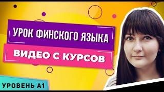 Запись урока финского языка Лингваконтакт | Уровень А1 | Финский для начинающих | Обучение финскому