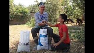 Wheat Planting