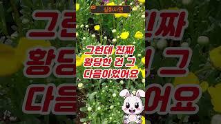 60세 시어머니가 갑자기 유학간다며 하는 말이 황당합니다 #실화사연 #인생사연 #노후사연 #노년지혜 #사연