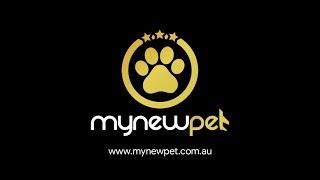 myNewPet | Australia's Safest Pet Classifieds