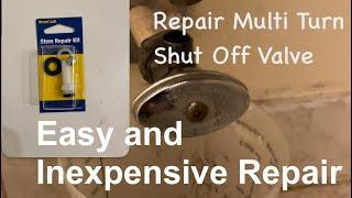 Fix Multi Turn Shut-Off Valve With a Stem Repair Kit | Easy Fix