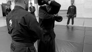 Traditional Ninjutsu stances in modern sparring - AKBAN, Yossi Sheriff