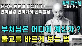 부처님은 어디에 계신가 불교의 바른 정견 반야지혜와 진여불성 | 윤회를 떠나 부처님이 되는공부 |청화스님 법문 19920419 경주고불선원삼존불점안식