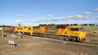 7MP1 Aurizon Team Global Express Container Train At Railway Crossing (10/8/2024) - PoathTV Railways