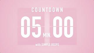 5 Min Countdown Flip Clock Timer / Simple Beeps 