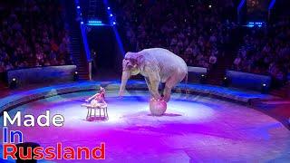 A Great Performance at the Great Moscow State Circus  Hurry Up!!!A New Show!!!