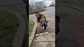She found her missing dog in the woods ️