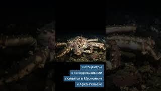 Новые технологии и стандарты в холодильной отрасли: события и инновации недели