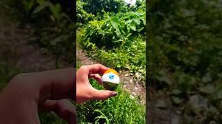 Indian flag on egg#trending#youtubeshorts#india#viral#indian#indianflag#craft#shorts#short#ytshorts