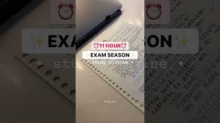 11 hour exam season routine #neet #mbbs #medicalentranceexam #medicalcollege #doctor #aiims