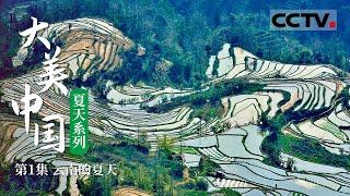 大美云南：夏日多姿 一片土地七个气候带《大美中国·夏天系列》EP01【CCTV纪录】