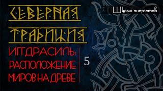 5. Иггдрасиль:  как 9 миров расположены на Древе. Оккультный смысл девяти миров. Северная традиция.