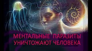 Ментальные паразиты - что это. Как избавляться. Гармония Бога, Души и Тела