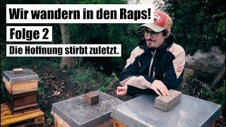 Wir wandern in den Raps! - Folge 2 - Die Hoffnung stirbt zuletzt. (2023) Imkerei Bienenwiese.