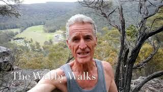 The Webby Walks - Unnatural Sugars