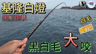 北海岸釣點，基隆白燈，黑毛魚，白毛魚，大咬，垂釣申請教學，北海岸釣魚，釣況 #釣魚 #fishing #磯釣り#釣點 #釣況 #黑毛 #白毛